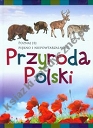 Przyroda Polski Poznaj jej piękno i niepowtarzalność