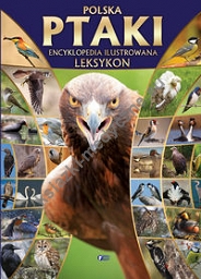 Polska ptaki encyklopedia ilustrowana leksykon