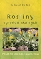 Rośliny ogrodów skalnych
