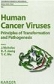 Human Cancer Viruses