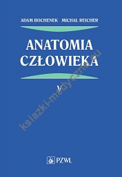 Anatomia człowieka Tom 5