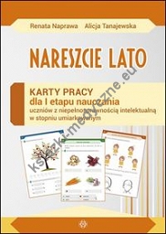 Nareszcie lato Karty pracy sztywna teczka