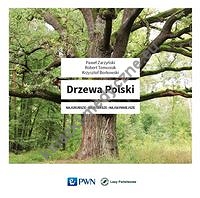 Drzewa Polski