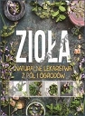 Zioła