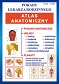 Atlas anatomiczny Porady lekarza rodzinnego