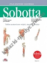 Sobotta Tablice anatomiczne mięśni, stawów i nerwów. Angielskie mianownictwo.