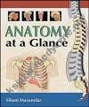 Anatomy at a Glance