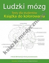 Ludzki mózg Testy dla studentów Książka do kolorowania