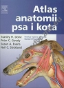 Atlas anatomii psa i kota