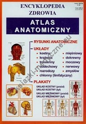 Atlas anatomiczny Encyklopedia zdrowia 40
