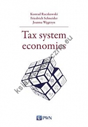 Tax system economics