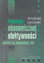 Podstawy ekonomicznej efektywności podziemnej eksploatacji złóż