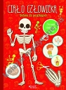 Ciało człowieka Anatomia dla początkujących