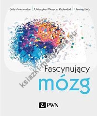 Fascynujący mózg