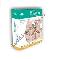 Anatomia Sobotta Flashcards. Neuroanatomia. Łacińskie mianownictwo anatomiczne