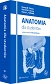 Anatomia dla studentów BRS Gross Anatomy Chung Halliday