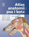 Atlas anatomii psa i kota