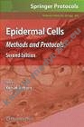 Epidermal Cells 2e