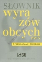 Słownik wyrazów obcych PWN z przykładami i poradami