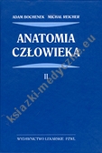 Anatomia człowieka