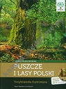 Puszcze i lasy Polski z płytą CD