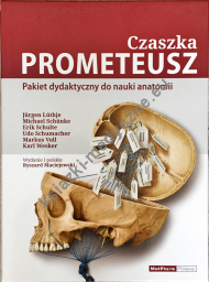 Czaszka Prometeusz - pakiet dydaktyczny do nauki anatomii