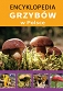 Encyklopedia grzybów w Polsce