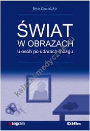 Świat w obrazach u osób po udarach mózgu