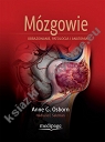  Mózgowie. Obrazowanie, patologia i anatomia. Osborn