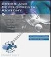 Rapid Review Of Anatomy & Embryology