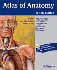 Gilroy Atlas of Anatomy 2. edition  English nomenclature, Nomenklatura angielska