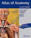 Gilroy Atlas of Anatomy 2. edition  English nomenclature, Nomenklatura angielska