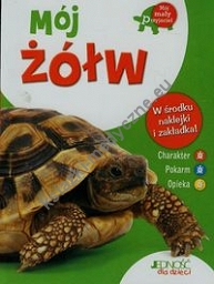 Mój żółw