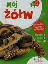 Mój żółw