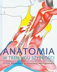 Anatomia w treningu szybkości