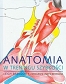 Anatomia w treningu szybkości