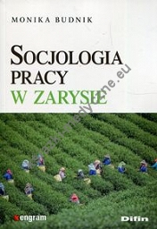 Socjologia pracy w zarysie