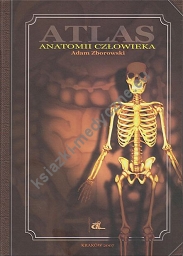 Atlas anatomii człowieka