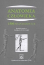 Anatomia człowieka 1500 pytań testowych