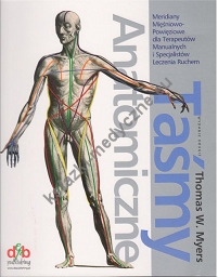 Taśmy anatomiczne