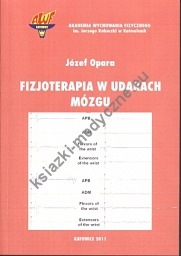 Fizjoterapia w udarach mózgu