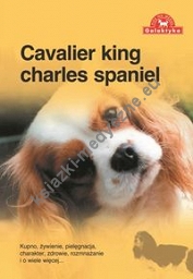 Cavalier king charles spaniel