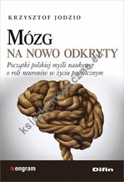 Mózg na nowo odkryty