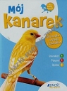 Mój kanarek