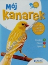 Mój kanarek