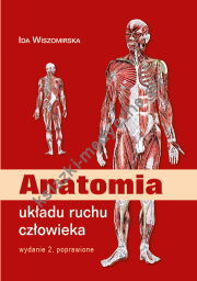 Anatomia układu ruchu człowieka