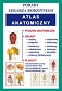 Atlas anatomiczny