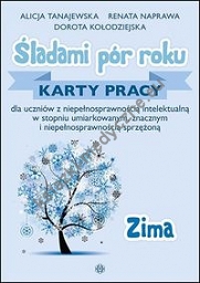 Śladami pór roku Zima