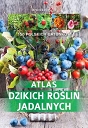 Atlas dzikich roślin jadalnych