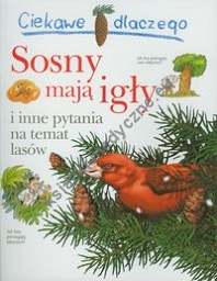 Ciekawe dlaczego Sosny mają igły